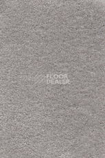 Ковролин AW Masquerade Gaudia 39 фото 1 | FLOORDEALER